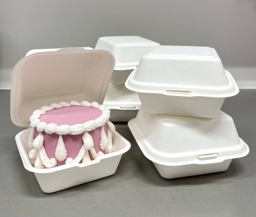 Bento-Cake Box - 15 x 15cm / 5 Stück